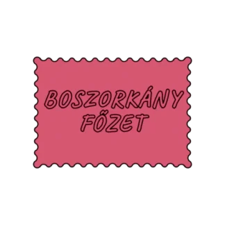 BOSZORKÁNY FŐZET