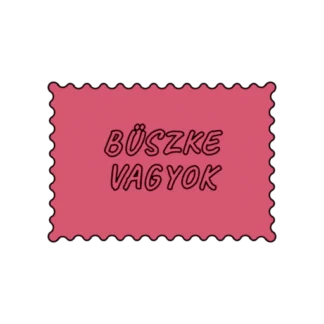 BÜSZKE VAGYOK
