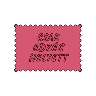 CSAK EDZÉS HELYETT
