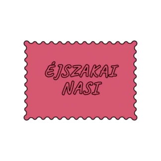 ÉJSZAKAI NASI