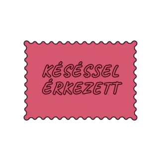 KÉSÉSSEL ÉRKEZETT