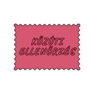 KÖZÚTI ELLENŐRZÉS