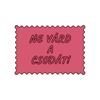 NE VÁRD A CSODÁT