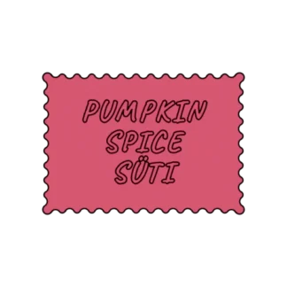 PUMPKIN SPICE SÜTI